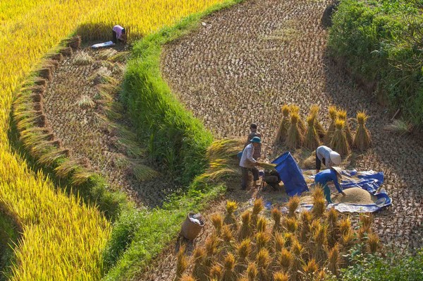 Randonnée dans la vallée de Mai Chau 3 jours