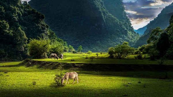 Hoa Lu et la Baie d’Halong terrestre