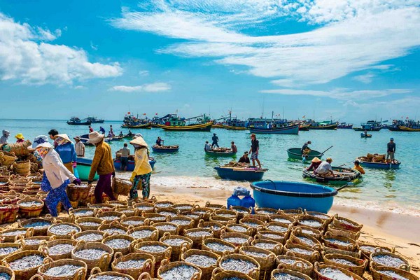 Découverte Luxueuse au Vietnam 12 jours