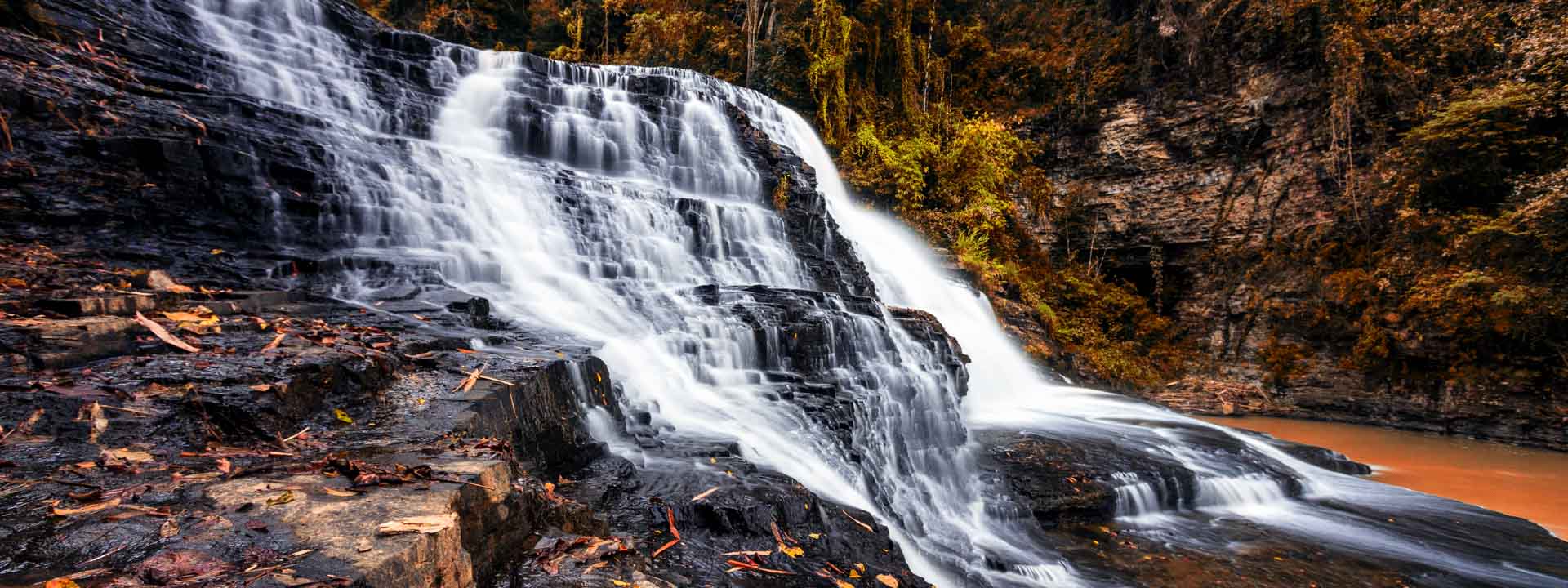Escapade au parc national de Nam Cat Tien 3 jours