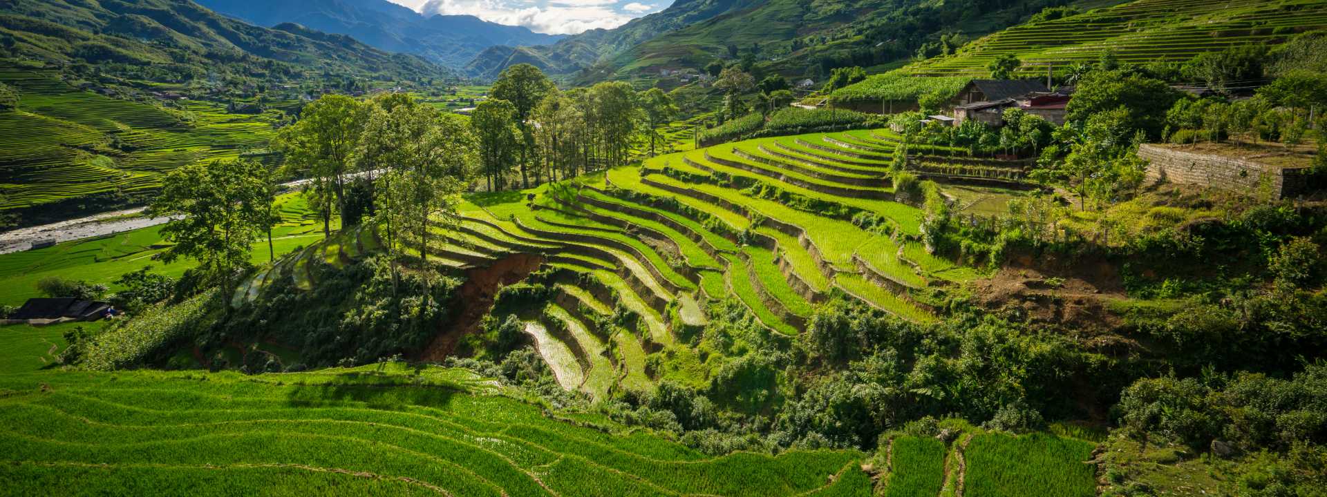 Les rizieres en terrasse au nord-ouest du vietnam 7 jours
