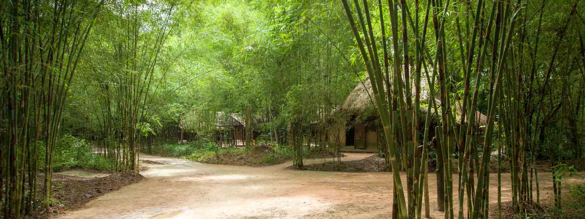 Demi-journée sur le site des tunnels de Cu Chi