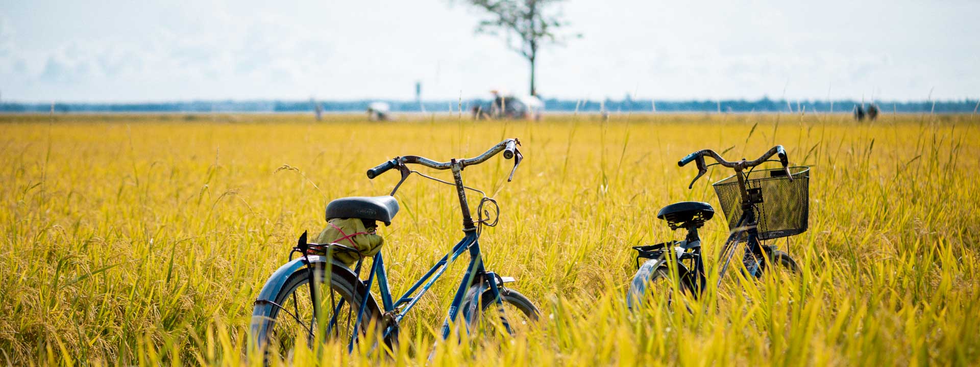 Découverte le nord du Vietnam en famille – Sixsense Ninh Van Bay 14 jours